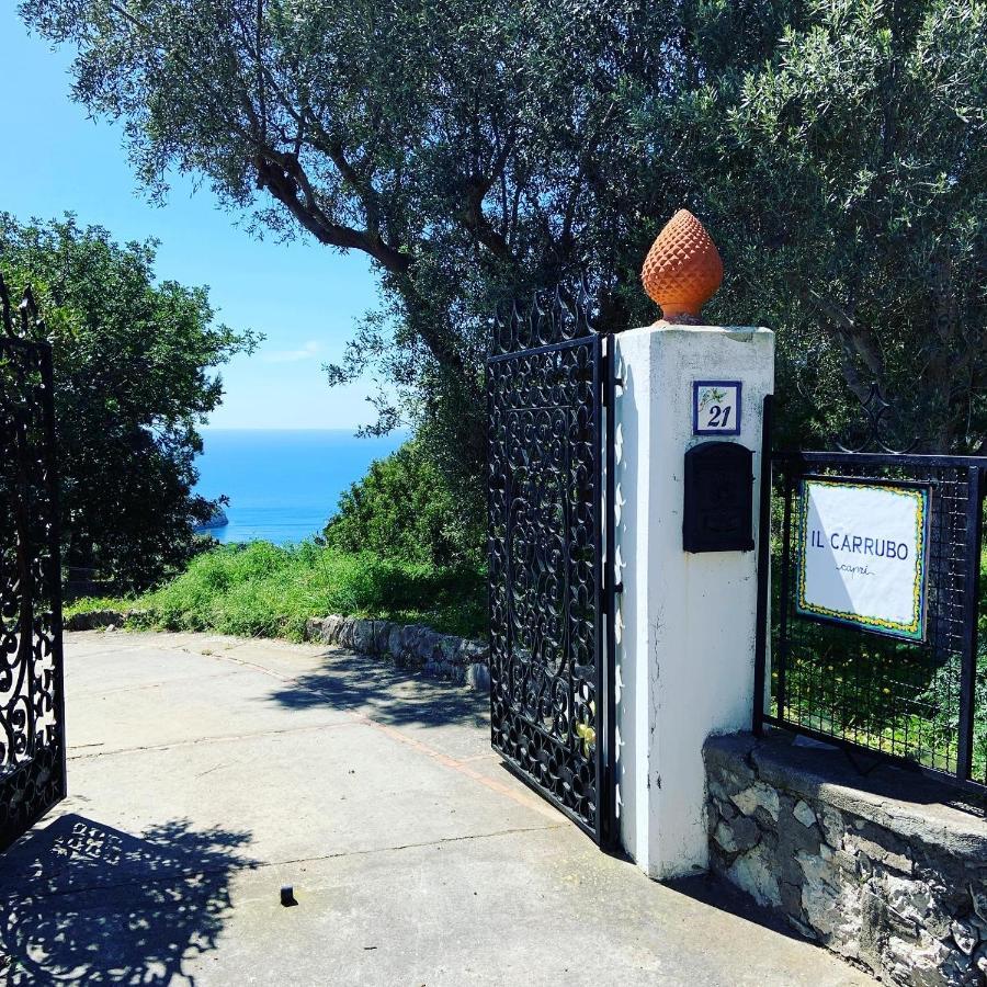 Гостевой дом Il Carrubo Capri Анакапри Экстерьер фото