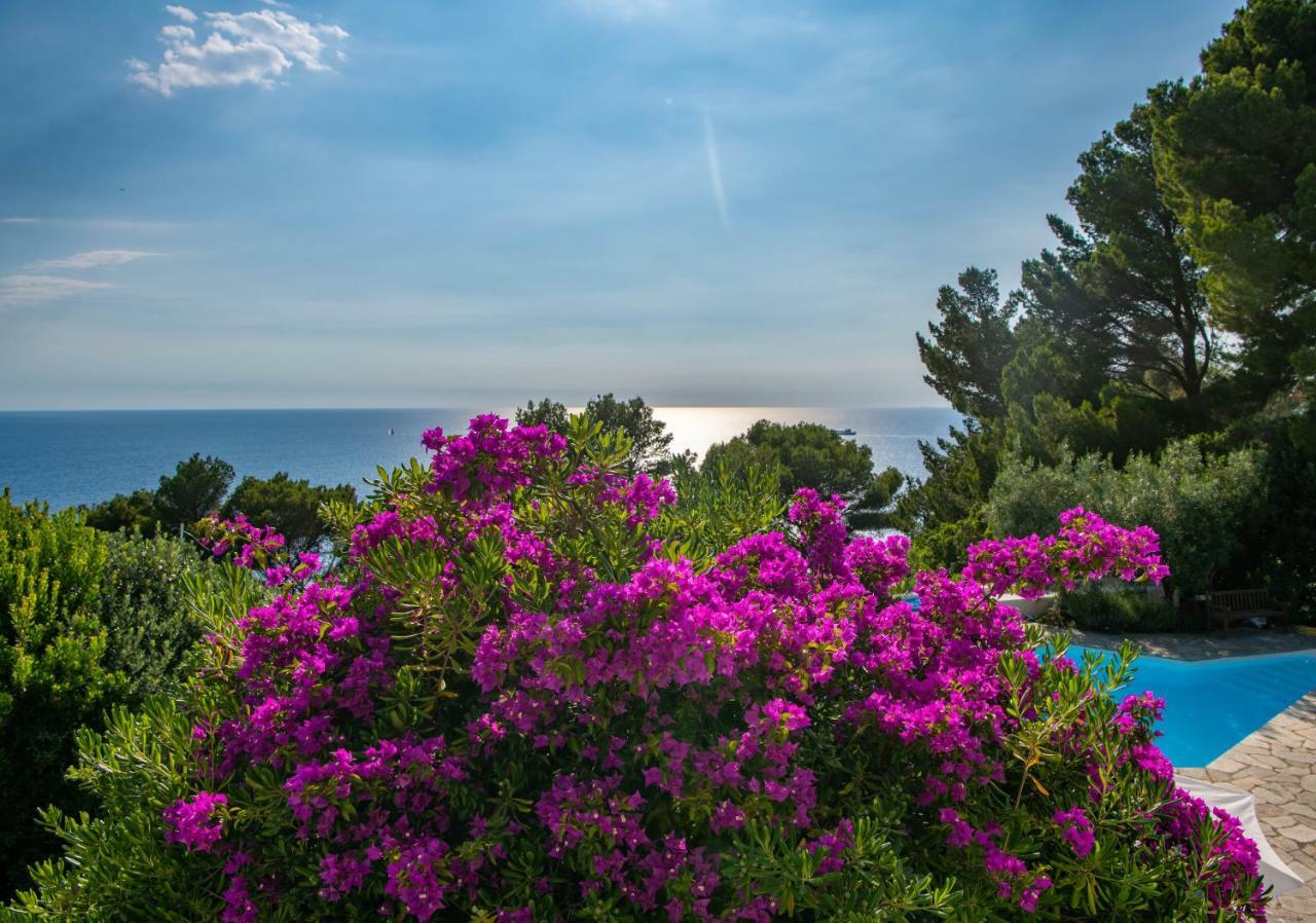 Гостевой дом Il Carrubo Capri Анакапри Экстерьер фото