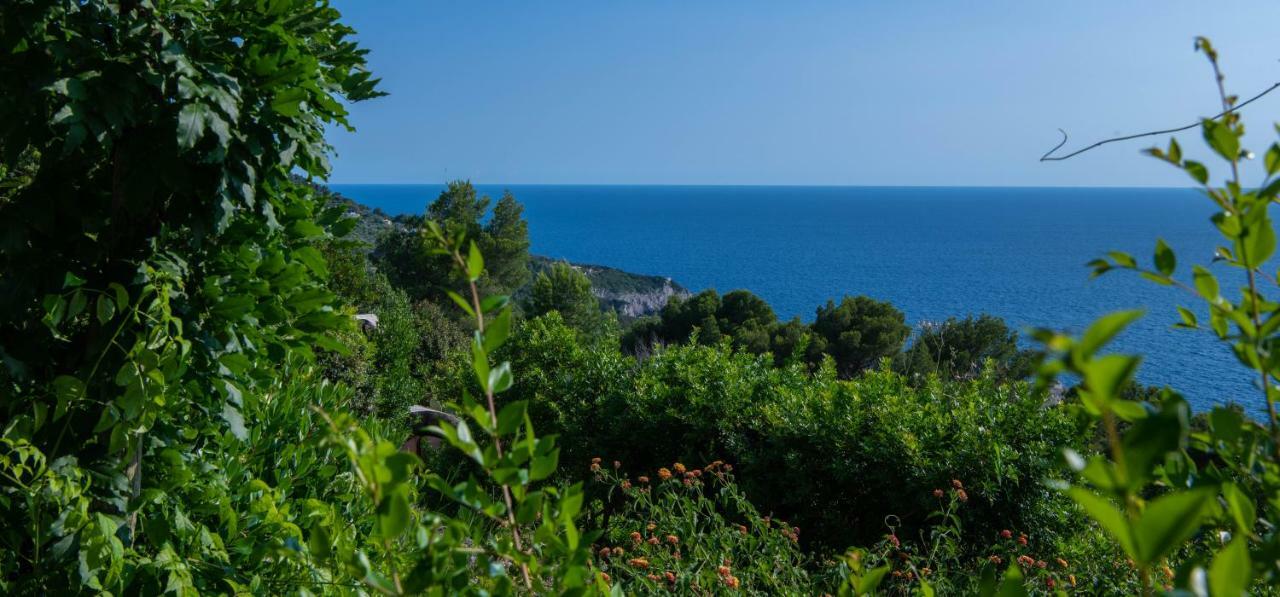 Гостевой дом Il Carrubo Capri Анакапри Экстерьер фото